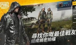 pubg国际服最新爆料,最新爆料揭示pubg国际服全新内容与玩法